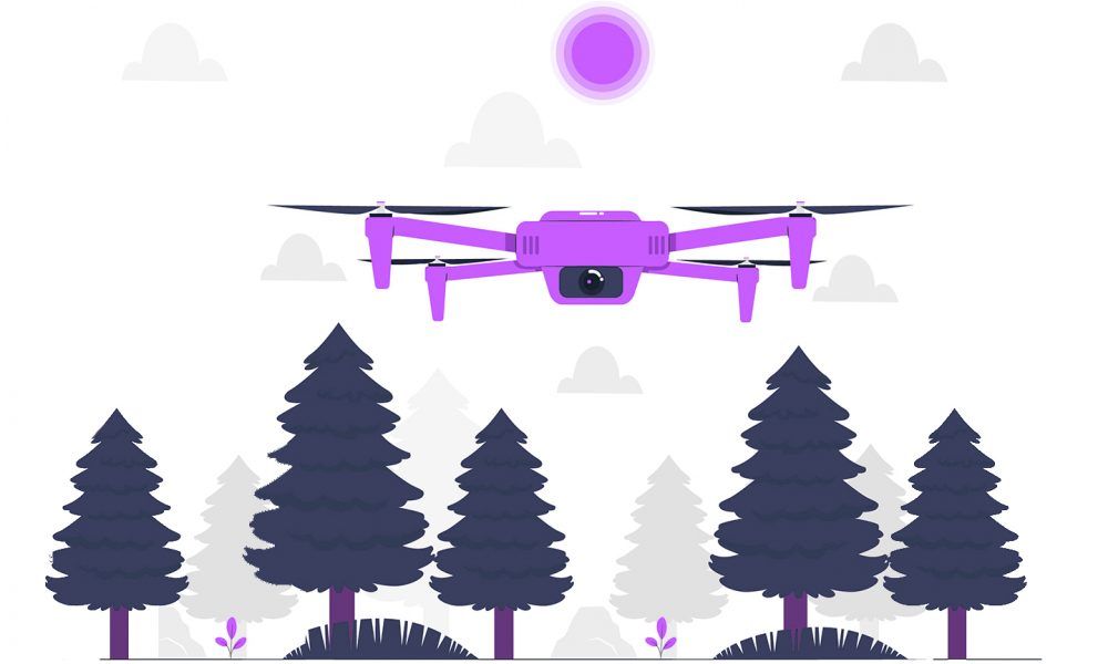 falconry drones