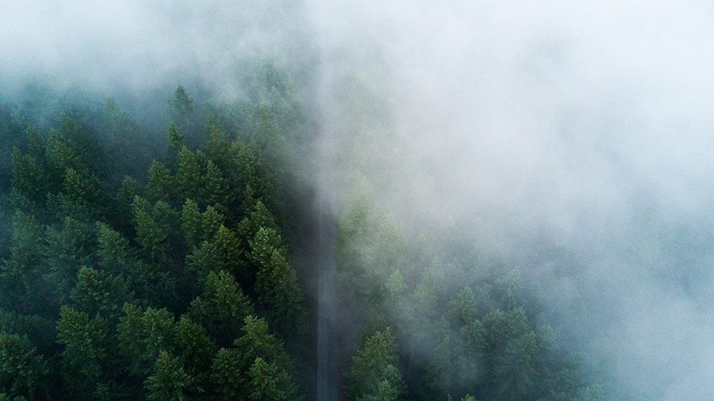 drone-flying-in-fog